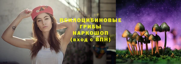 не бодяженный Богородицк