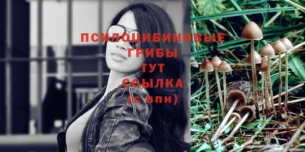 не бодяженный Богородицк
