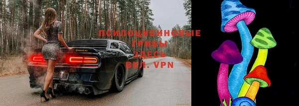 не бодяженный Богородицк
