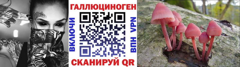 MEGA   Среднеуральск  Псилоцибиновые грибы прущие грибы 